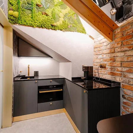 Apartamenty Wieliczka 公寓 *